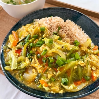 栄養満点ꕤ野菜たっぷりꕤ春キャベツの麻婆豆腐カレー